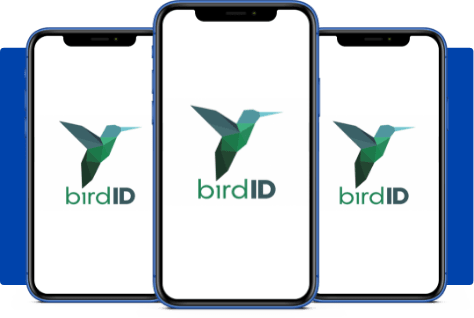 Bird ID: A Revolução da Assinatura Digital em Nuvem